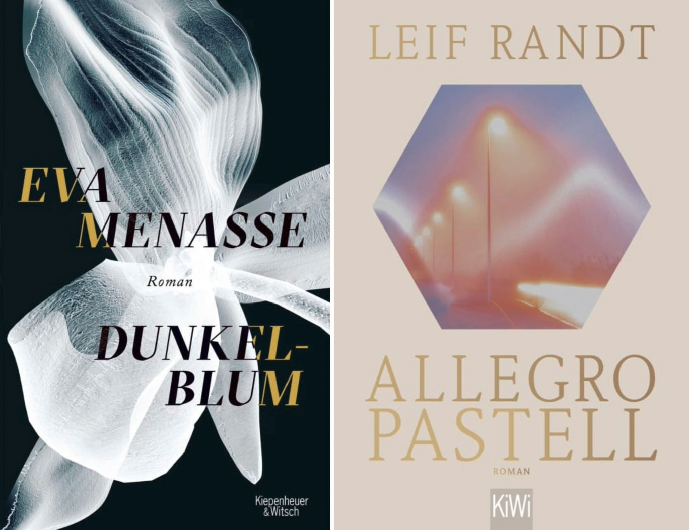 „Dunkelblum“ und „Allegro Pastell“ gehören zu den besten Büchern des 21. Jahrhunderts